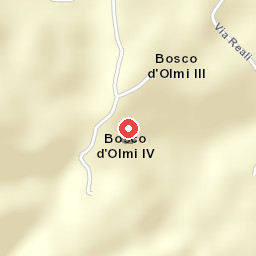 BOSCO D'OLMI COUNTRY HOUSE