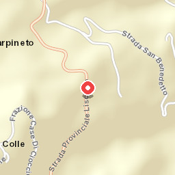 Agriturismo il castagneto