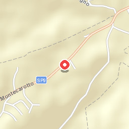 Oliodivino