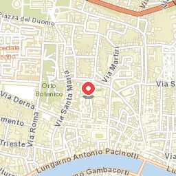 Cuore di Pisa