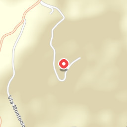 Il Puledro