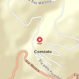 Hotel Pini