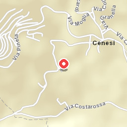Cenesi