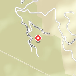 Allaluloja