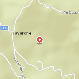 Case Virgi