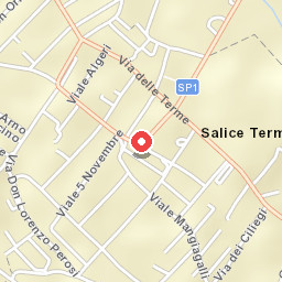 Hotel Salus