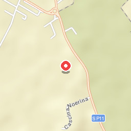 Il Bracco Ubriaco