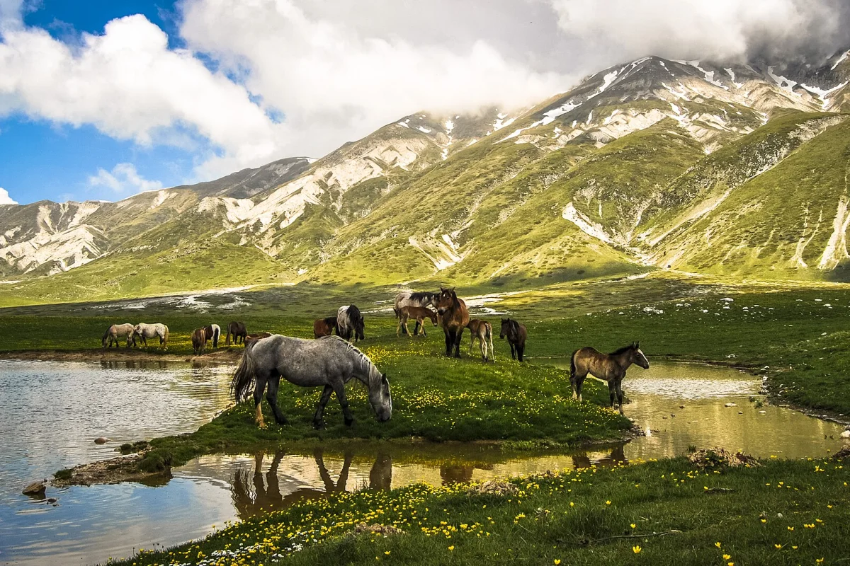 Abruzzo