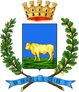 Boves