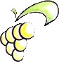 Volpara