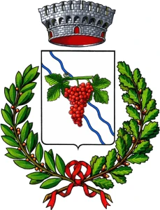 Pizzoni