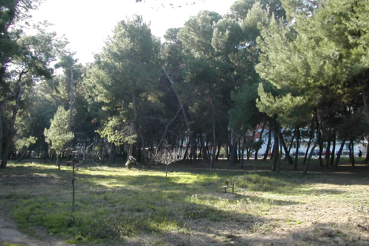 Riserva Naturale Statale Pineta di Santa Filomena