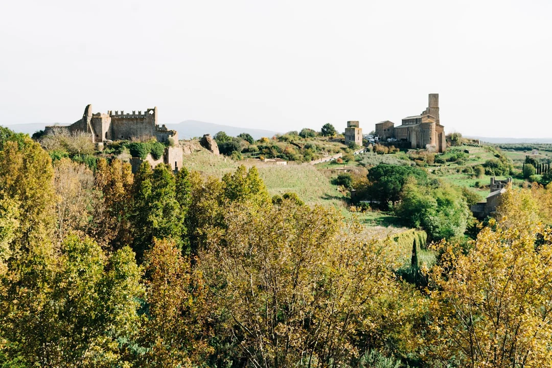 Museo Nazionale Archeologico di Tuscania (VT)