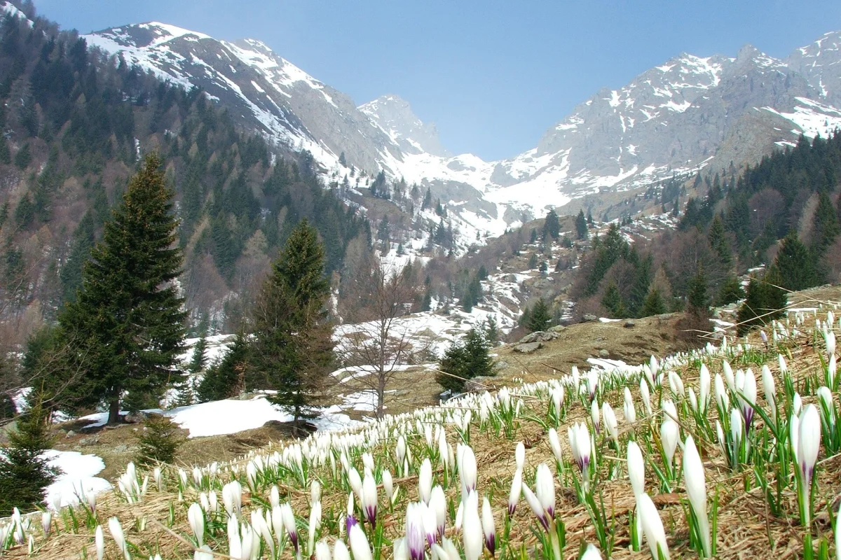 Parco Regionale delle Orobie Bergamasche