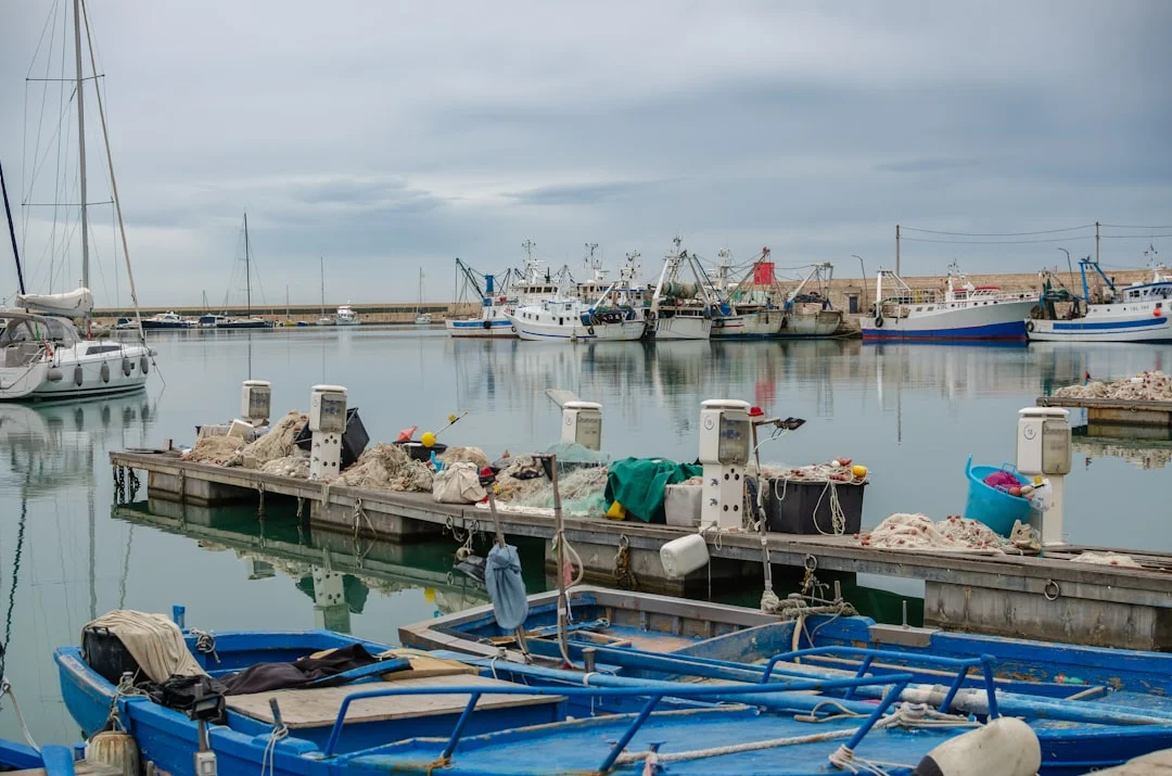Le gelaterie artigianali storiche a Trani, Barletta e Bisceglie.