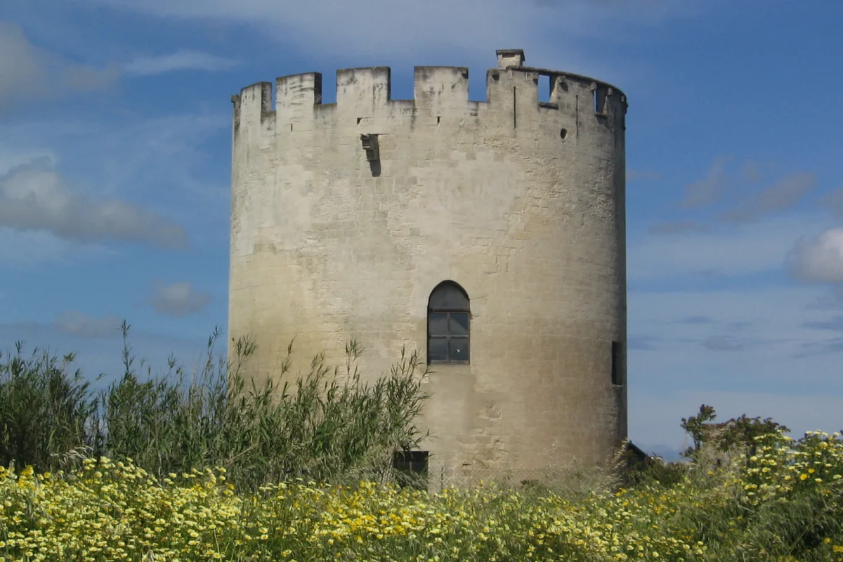 Parco di Belloluogo e Torre Medievale