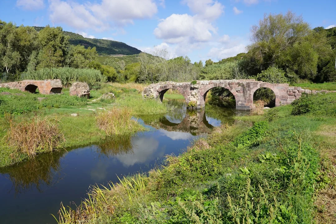 Oristano allai.webp