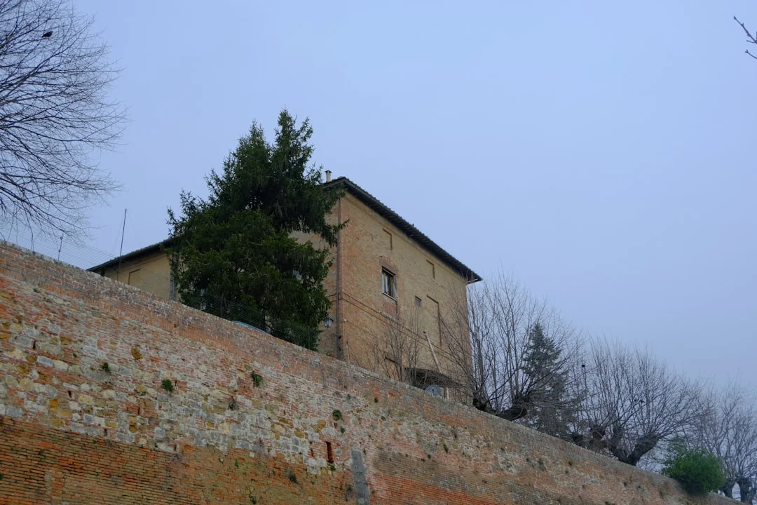Montepulciano 3