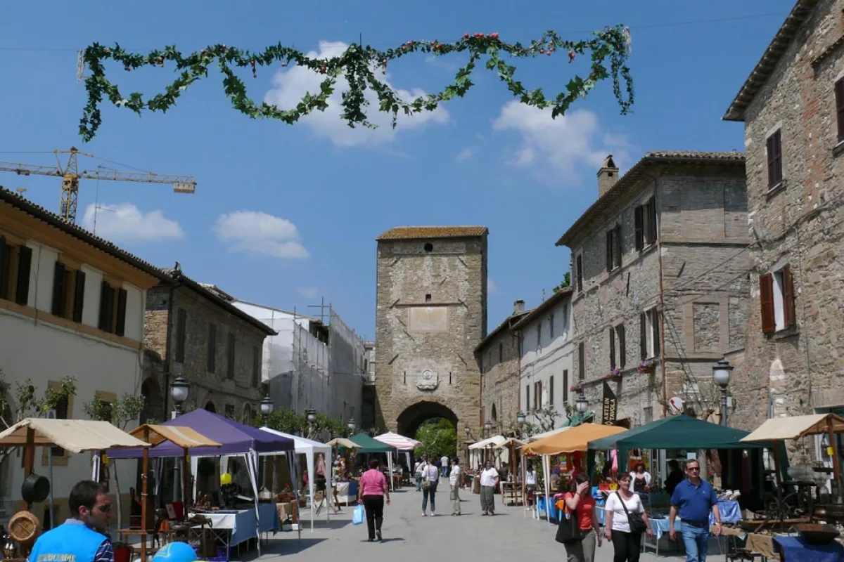 Cannara